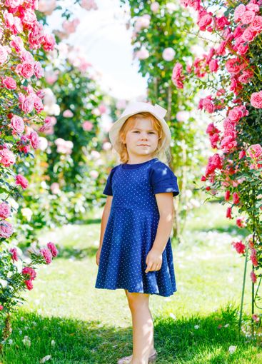 Portrait of little toddler girl in blossoming rose...