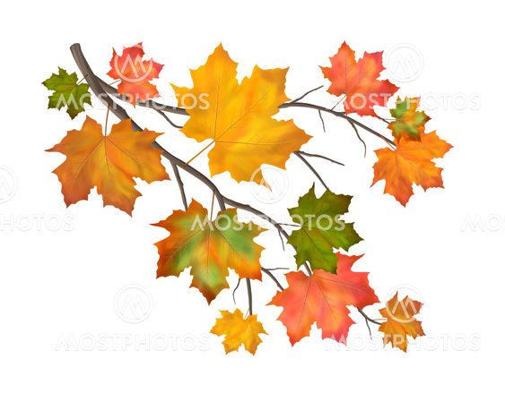 Vector Autumn Branch