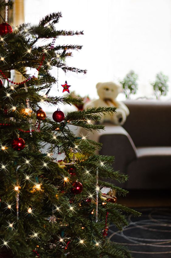 Roomview with christmastree