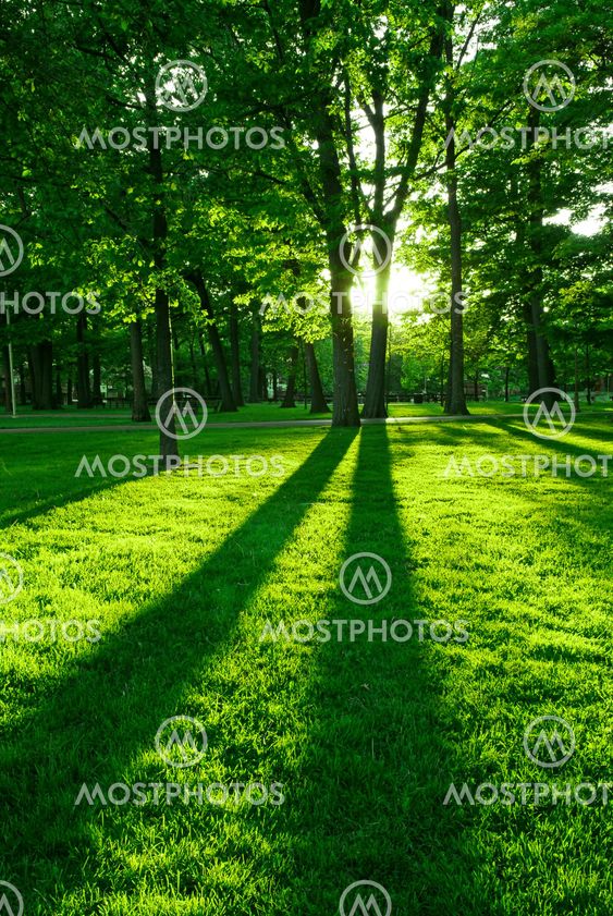 Green park
