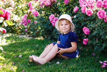 Portrait of little toddler girl in blossoming rose...