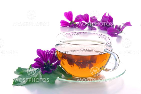 Tee Malve - tea malva 10