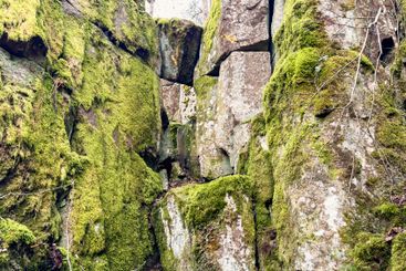 Rock face with green moss on a mountain
