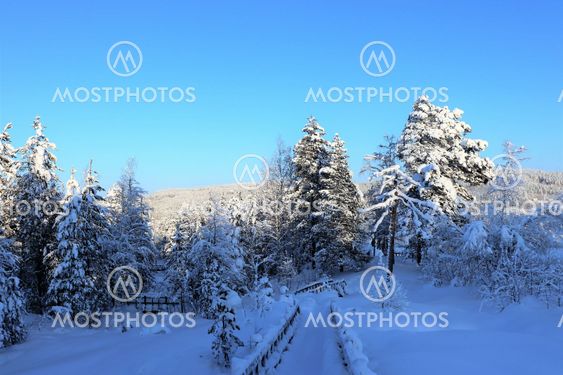 Storforsen i sagolikt vinterlanskap