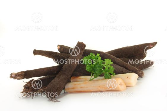 Salsify