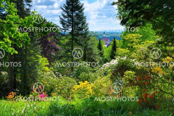 View from the mountain Hutberg during the flowering of...