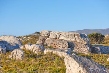 Tourism, rocks and environment with nature, plants and...