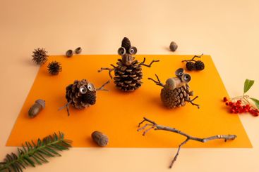 Natural elements like pine cones with eyes, twigs,...
