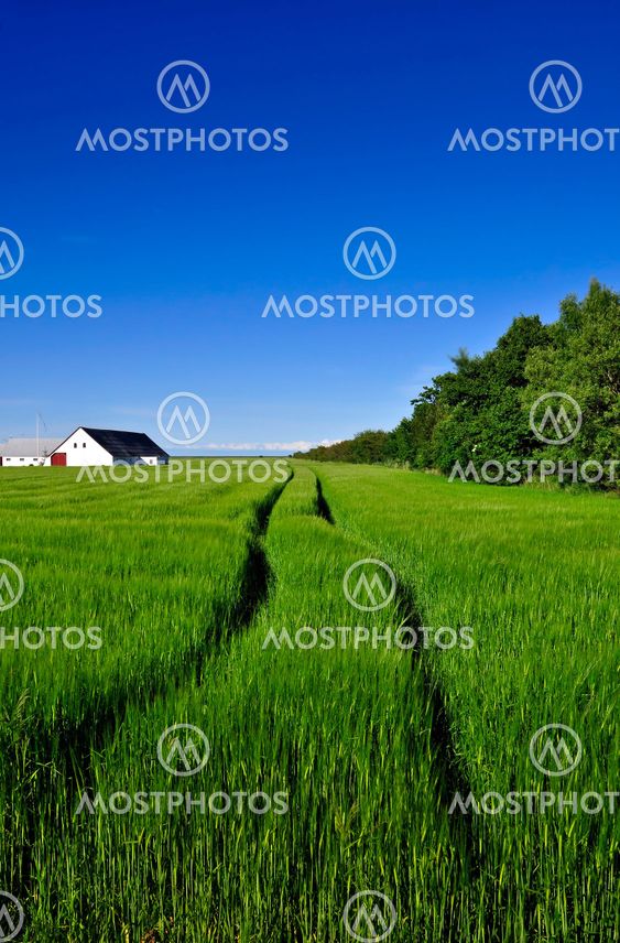 Dansk landbrugs landskab i Jutlandia