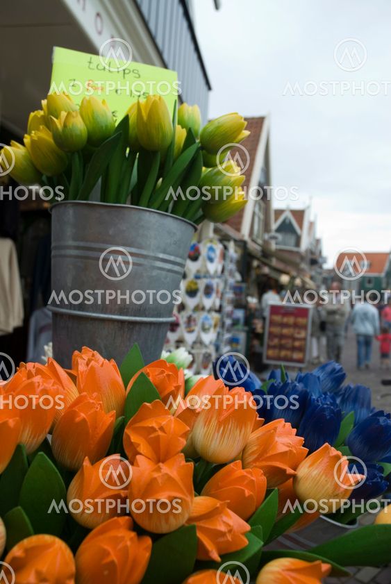 Tulips for sale