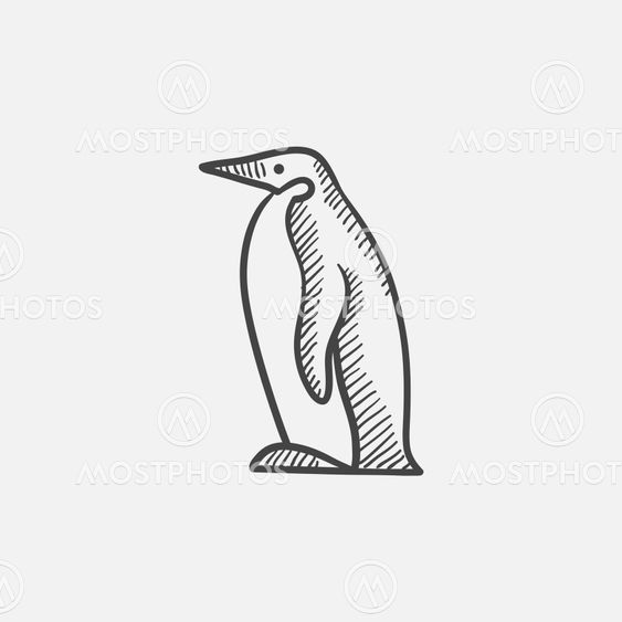 Penguin sketch icon.