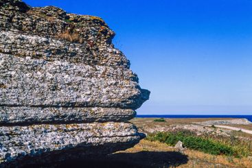 Sea stack on the coast a sunny summer day by the sea