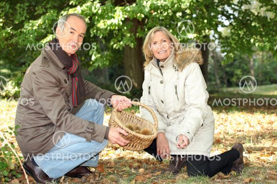 Couple gathering chestnuts