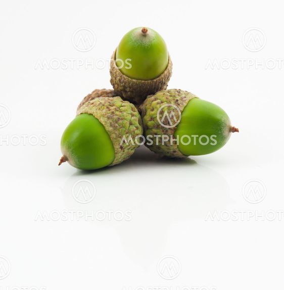 Tre grønne Agern
