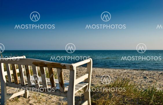 bench