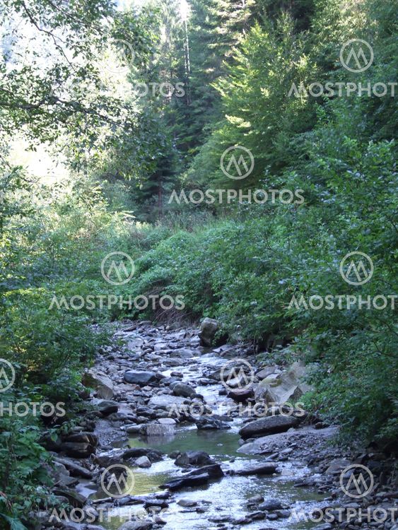 Small river at Costesti, Romania