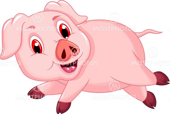 funny pig cartoon running