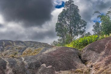 The unique 23 coloured earth of Mauritius. 