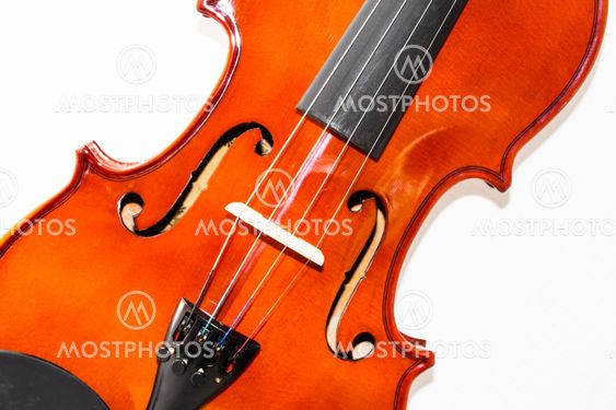 Violin isolated on white background