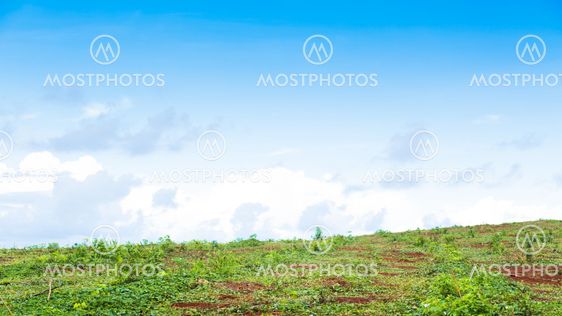 Typical landscape of Thailand