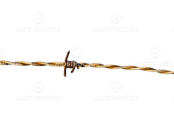 Barb wire detail isolated on white
