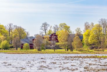 Farm at a lakeshore with lush green trees a sunny spring...