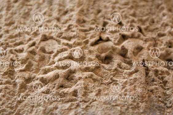 Sandstone background