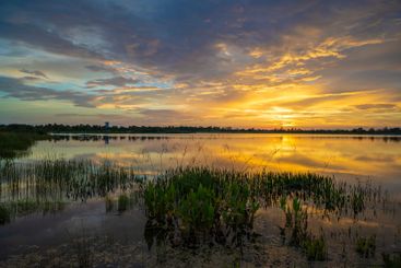 Evening landscape over lake water in southern tropical...