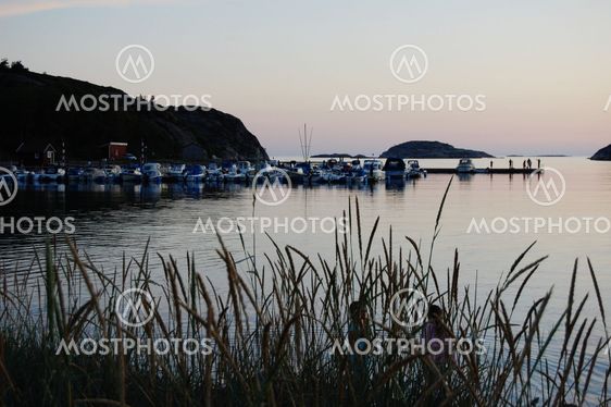 Boats, reeds and sea
