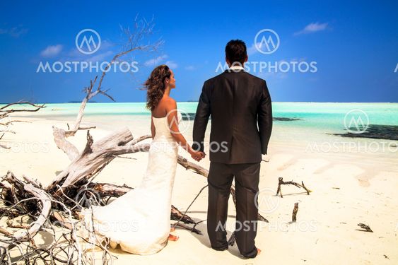 Bride and groom posing on beach with driftwood
