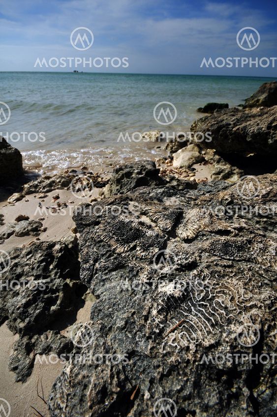 Rocky Shore