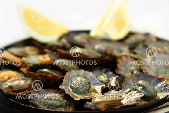 Grilled Limpets