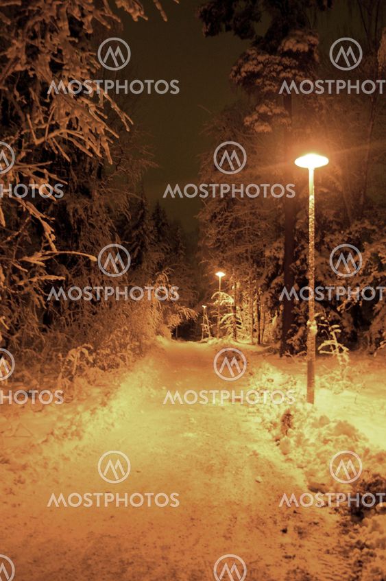 Winter paradise
