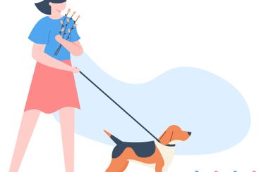 Woman holding willow branches while walking a beagle dog...