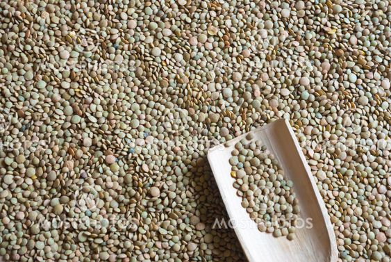 Raw lentil with wooden scooper