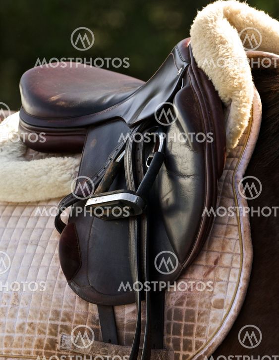 English Riding Saddle