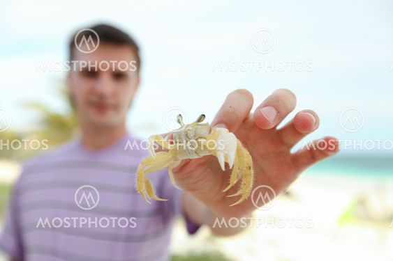 Close up of man's hand holding crab