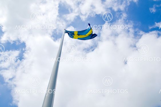 Swedish flag