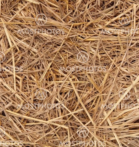 Straw texture background