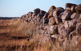 stenmur på Gotland med torrt gräs