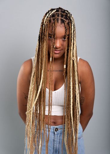 Beautiful brunette woman with braids in her hair wearing...