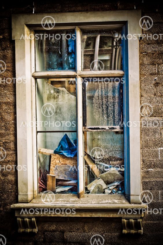 What's in the window?