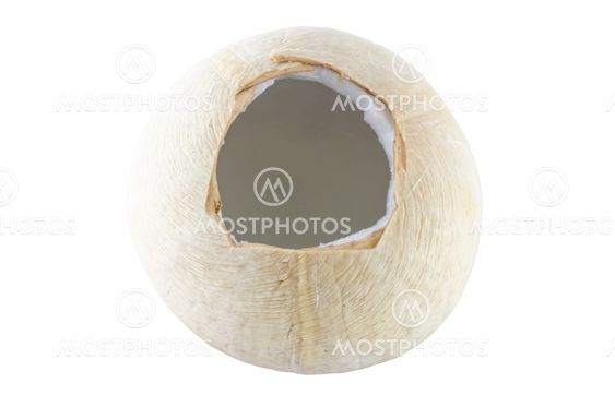 Coconut