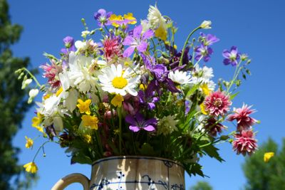 A bouquet of flowers
