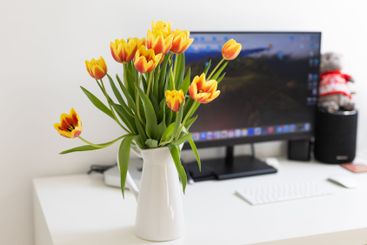 Tulip bouquet in a white jug on a modern desk. Concept...