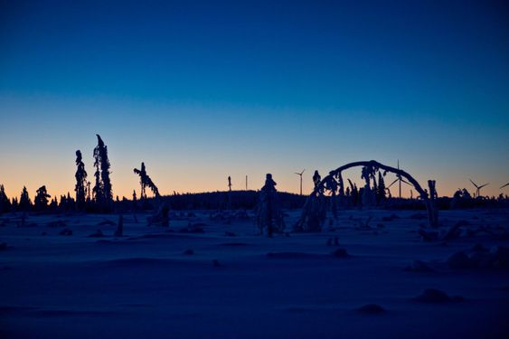 vinter