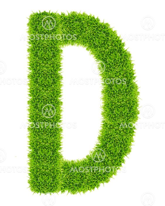 green grass letter D Isolated