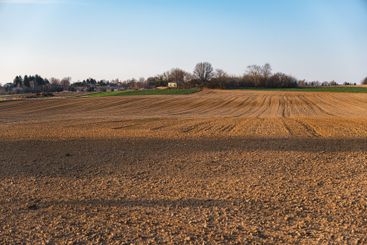 An empty field just before sunset on a sunny early...