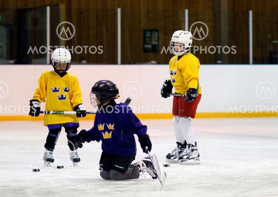 Three Team Sweden's Hockey School