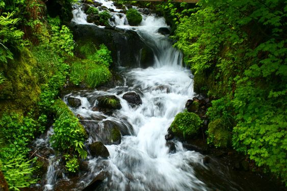 oregon waterfall